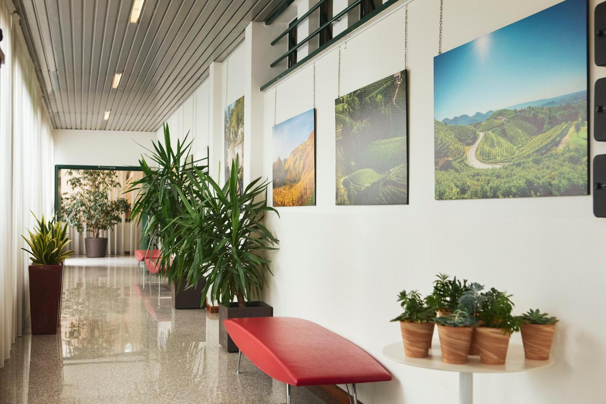 Hotel Eurorest Конельяно Экстерьер фото